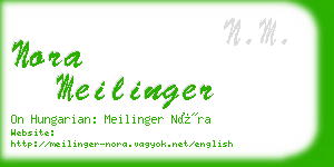 nora meilinger business card
